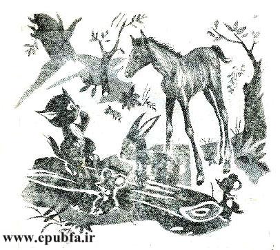 قصه کودکانه کرهاسب کوچولوی بامزه - محصول ایپابفا - ارشیو قصه و داستان کودکانه